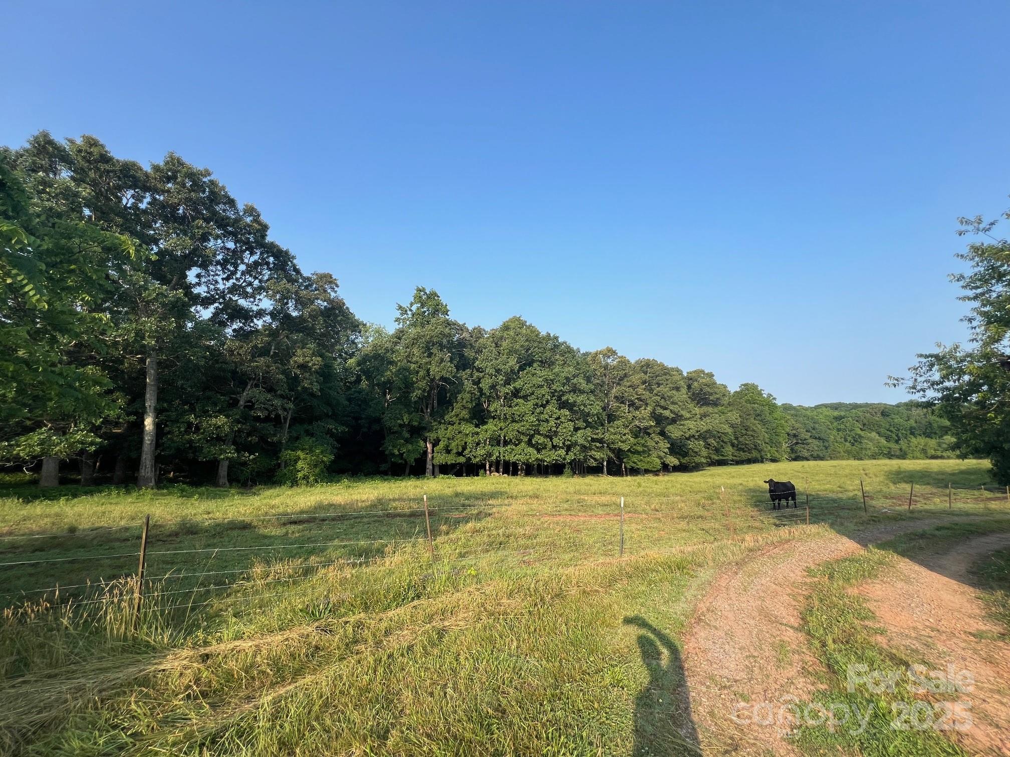 906 East Monbo Road Statesville, NC 28677 - Photo 8 of 30 a view of a lake with a yard