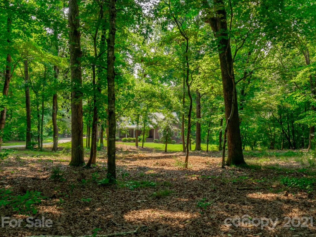 321 Springview Drive Locust, NC 28097 - Photo 31 of 32 Gallery Image 31