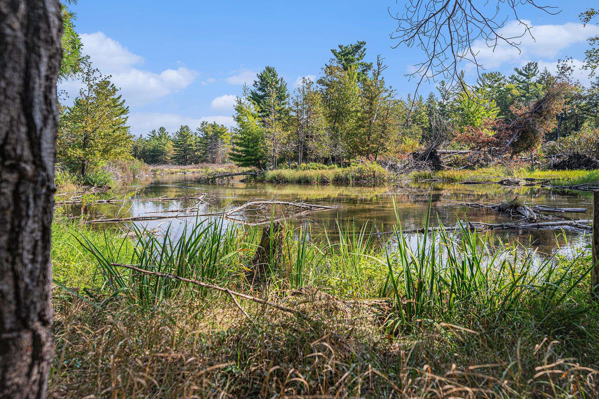 5760 West Crystal View Road Glen Arbor, MI 49636 - Photo 50 of 70
