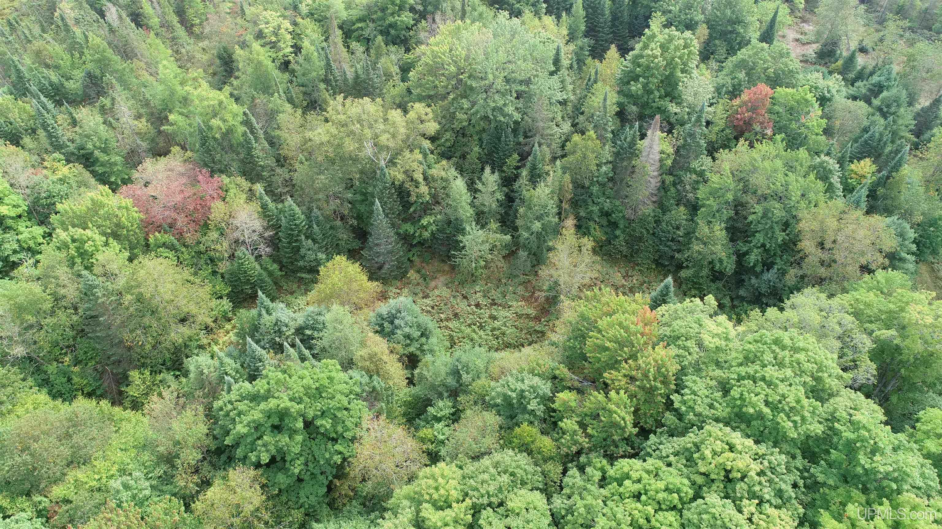 Tbd North Tbd N Powerline Road Germfask, MI 49836 - Photo 18 of 29