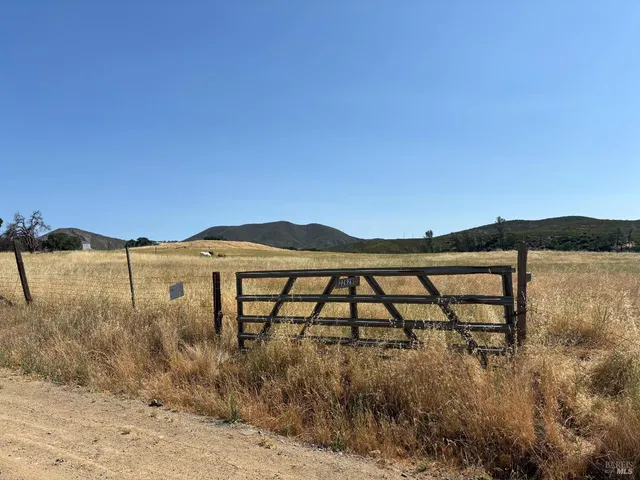 a view of a mountain in the distance in a field