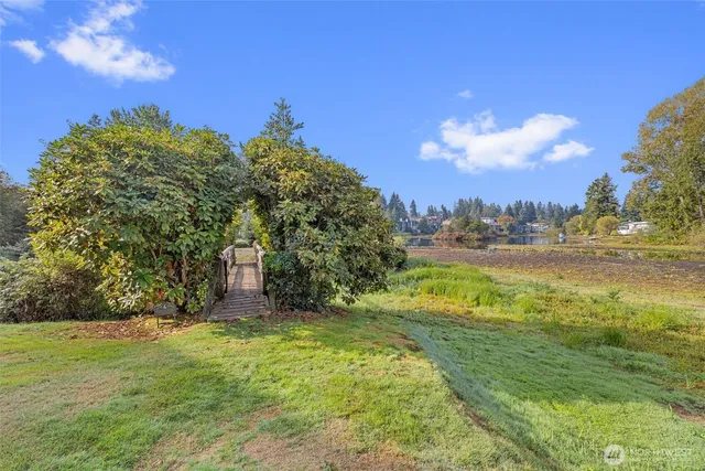 a view of a yard with plants and a fountain