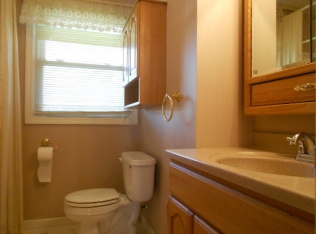 1007 Glencoe Road Alma, MI 48801 - Photo 17 of 24 1844337-16.JPG