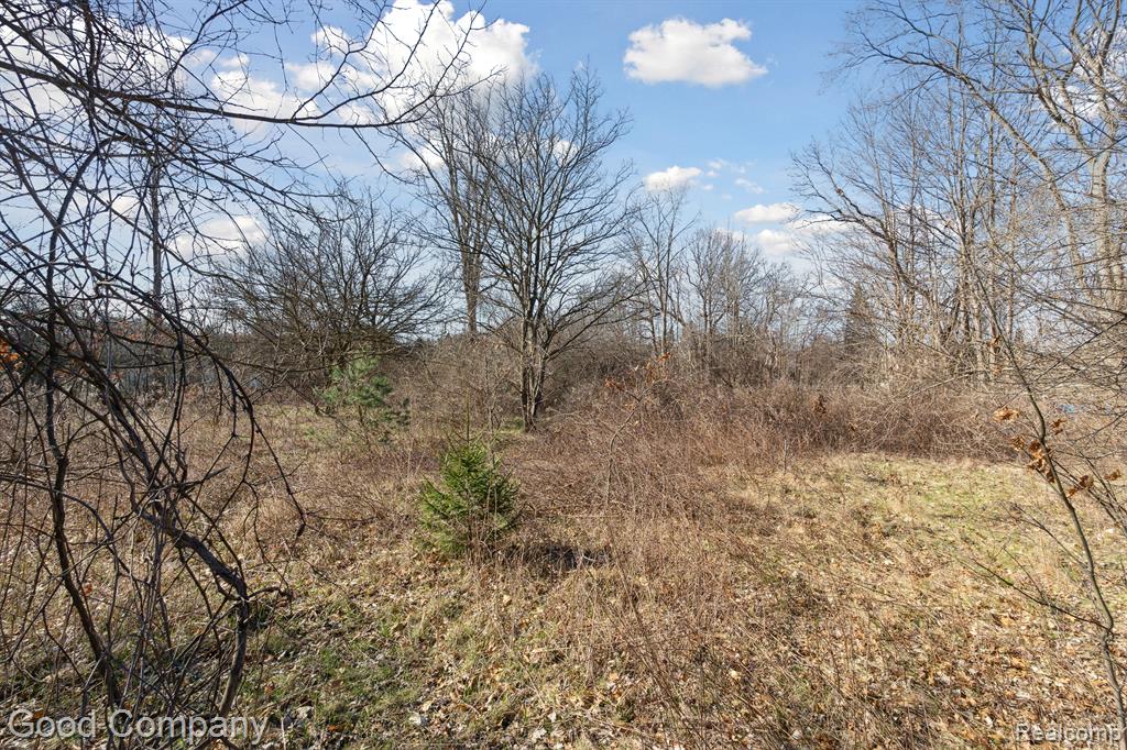 0 Orion Road Lake Orion, MI 48362 - Photo 3 of 13