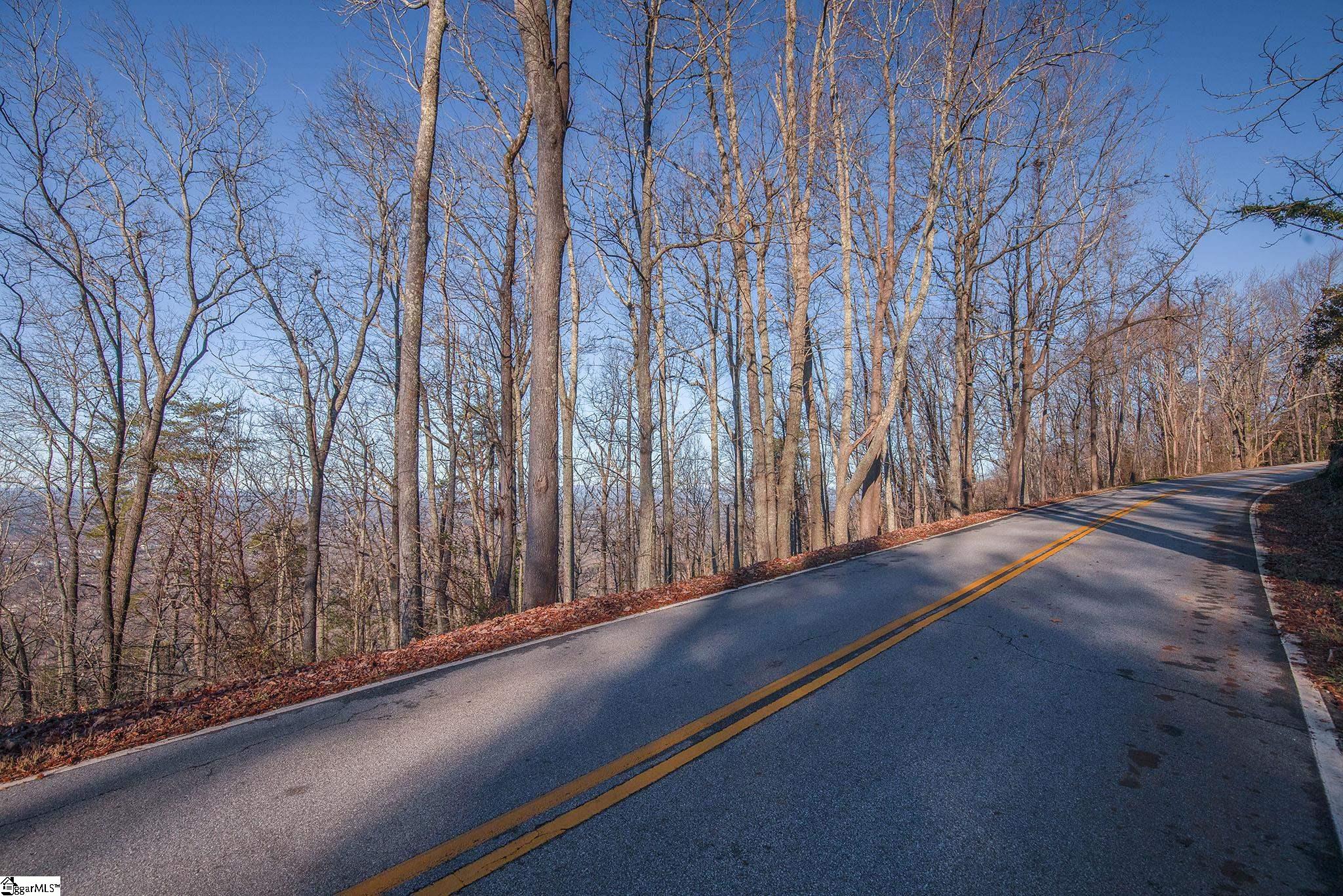 851 Altamont Road Greenville, SC 29609 - Photo 3 of 11