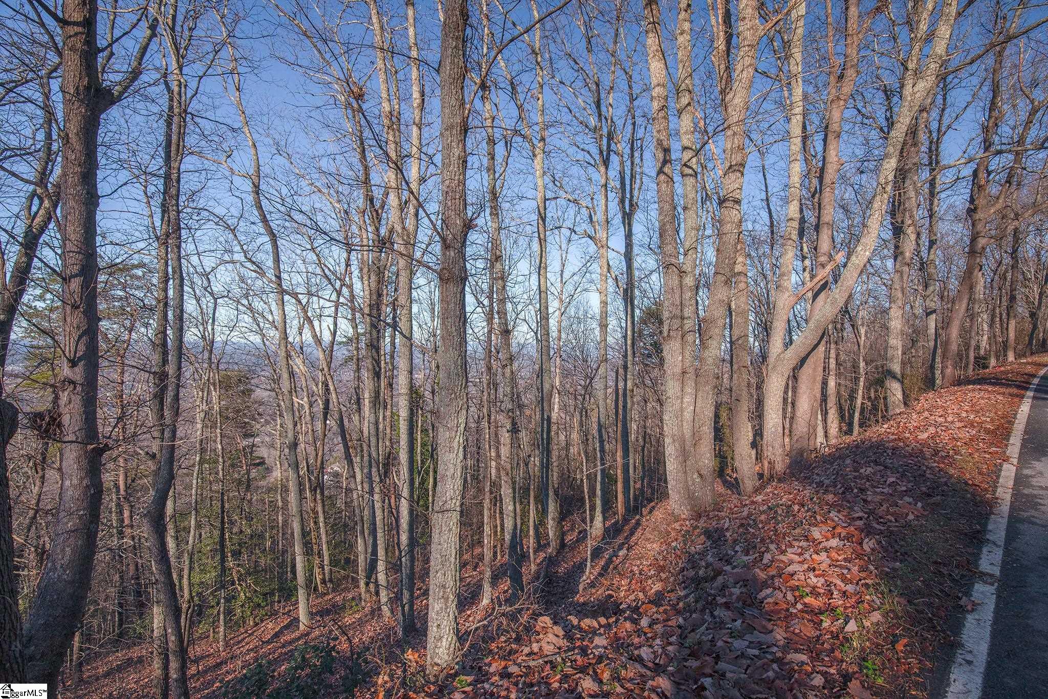 851 Altamont Road Greenville, SC 29609 - Photo 4 of 11