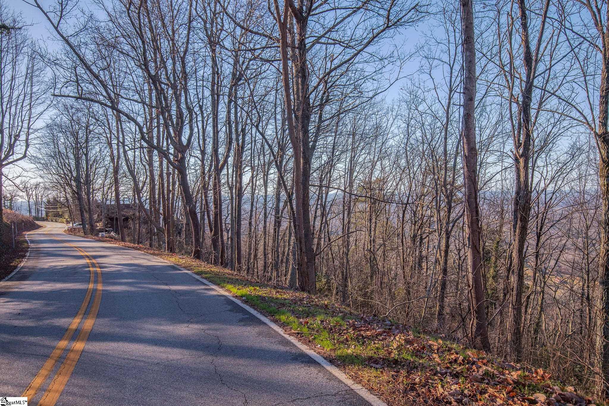 851 Altamont Road Greenville, SC 29609 - Photo 10 of 11