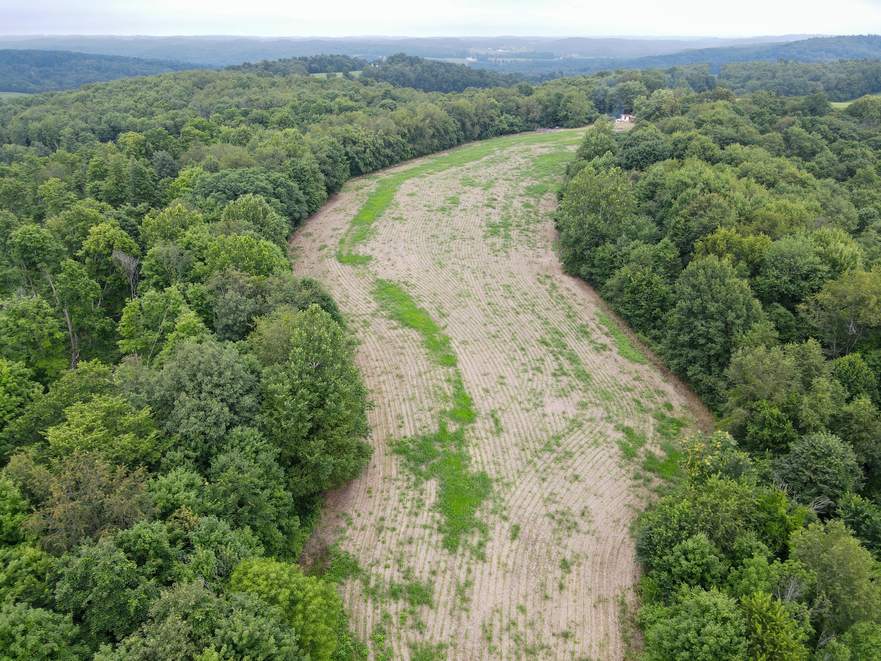 0 North Butler Liberty Road Butler, OH 44822 - Photo 31 of 47 DJI_0496