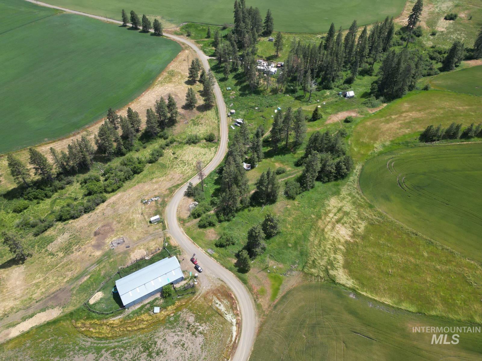Lot 1 Herrick Road Craigmont, ID 83523 - Photo 1 of 5