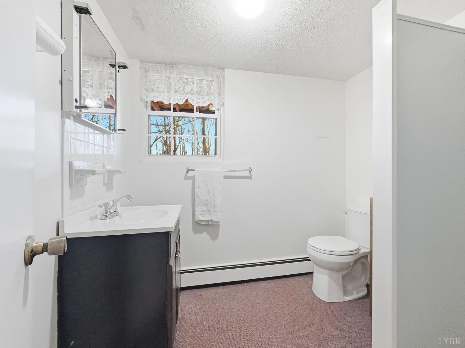 1285 Cedar Gate Road Monroe, VA 24574 - Photo 37 of 58