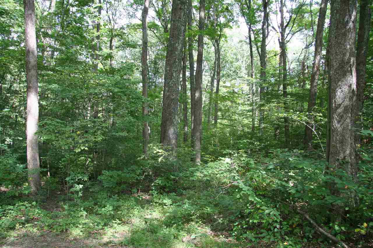 3608 West Cockrell Road Bloomington, IN 47403 - Photo 12 of 14 Gallery Image 12