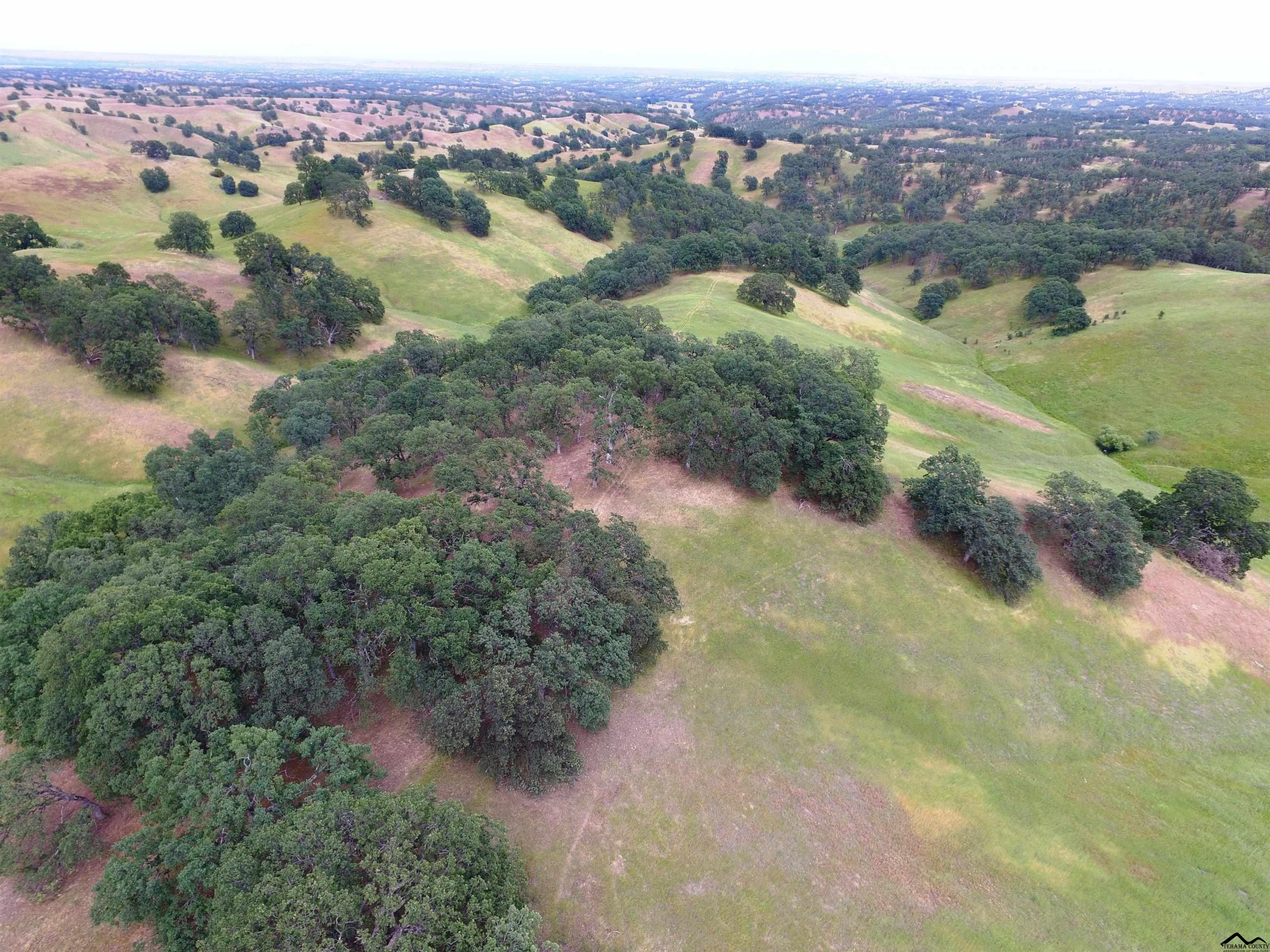 0 Moody Road Red Bluff, CA 96080 - Photo 1 of 6