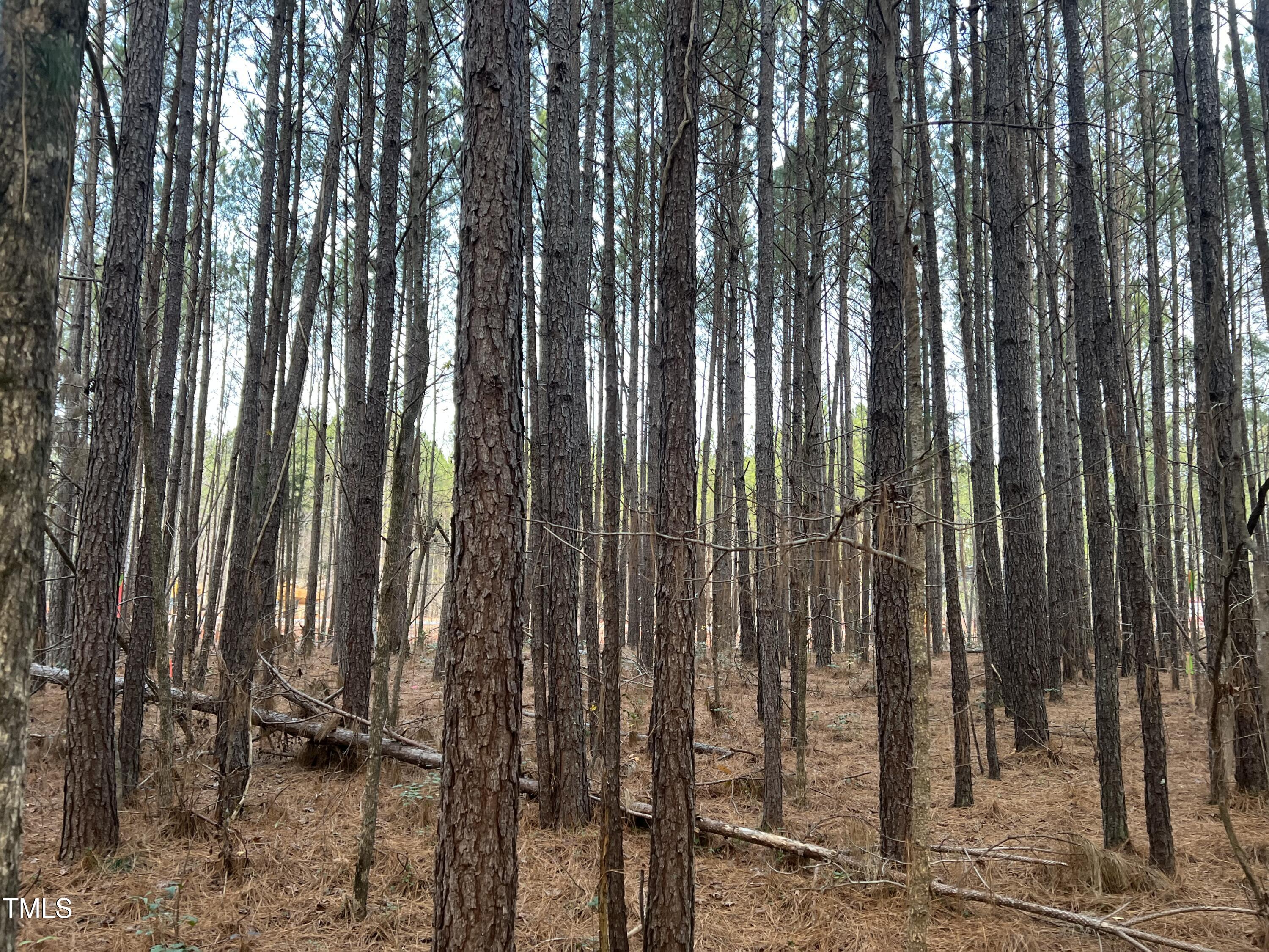 39 Anfield Road New Hill, NC 27562 - Photo 5 of 12 a view of outdoor space with chairs