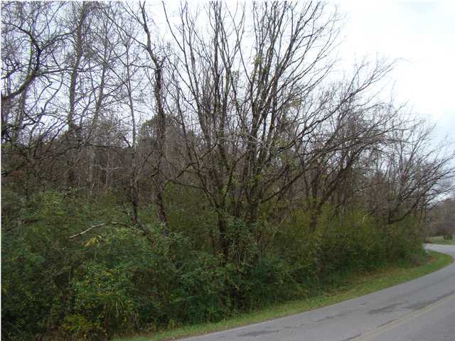 32 Toestring Valley Road Spring City, TN 37381 - Photo 1 of 2 Primary Photo