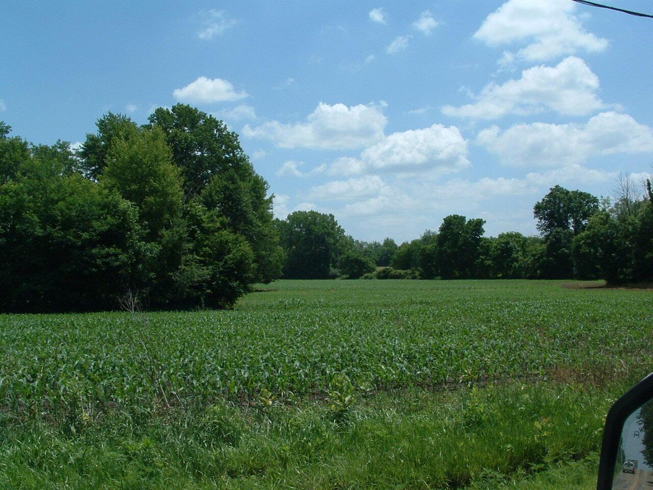 0 Clover Valley Road Northwest Johnstown, OH 43031 - Photo 10 of 16 DSCF0009
