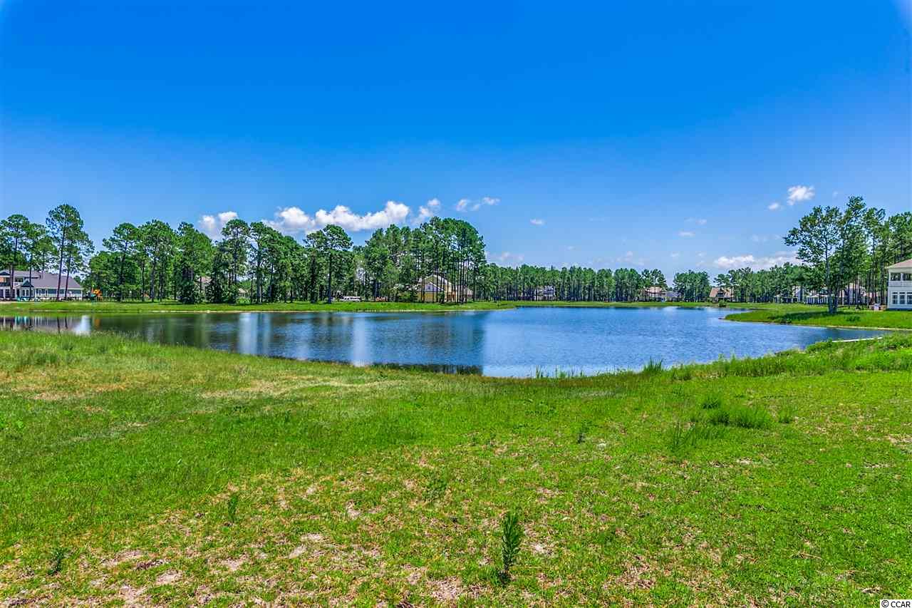 604 Waterbridge Boulevard Myrtle Beach, SC 29579 - Photo 17 of 18