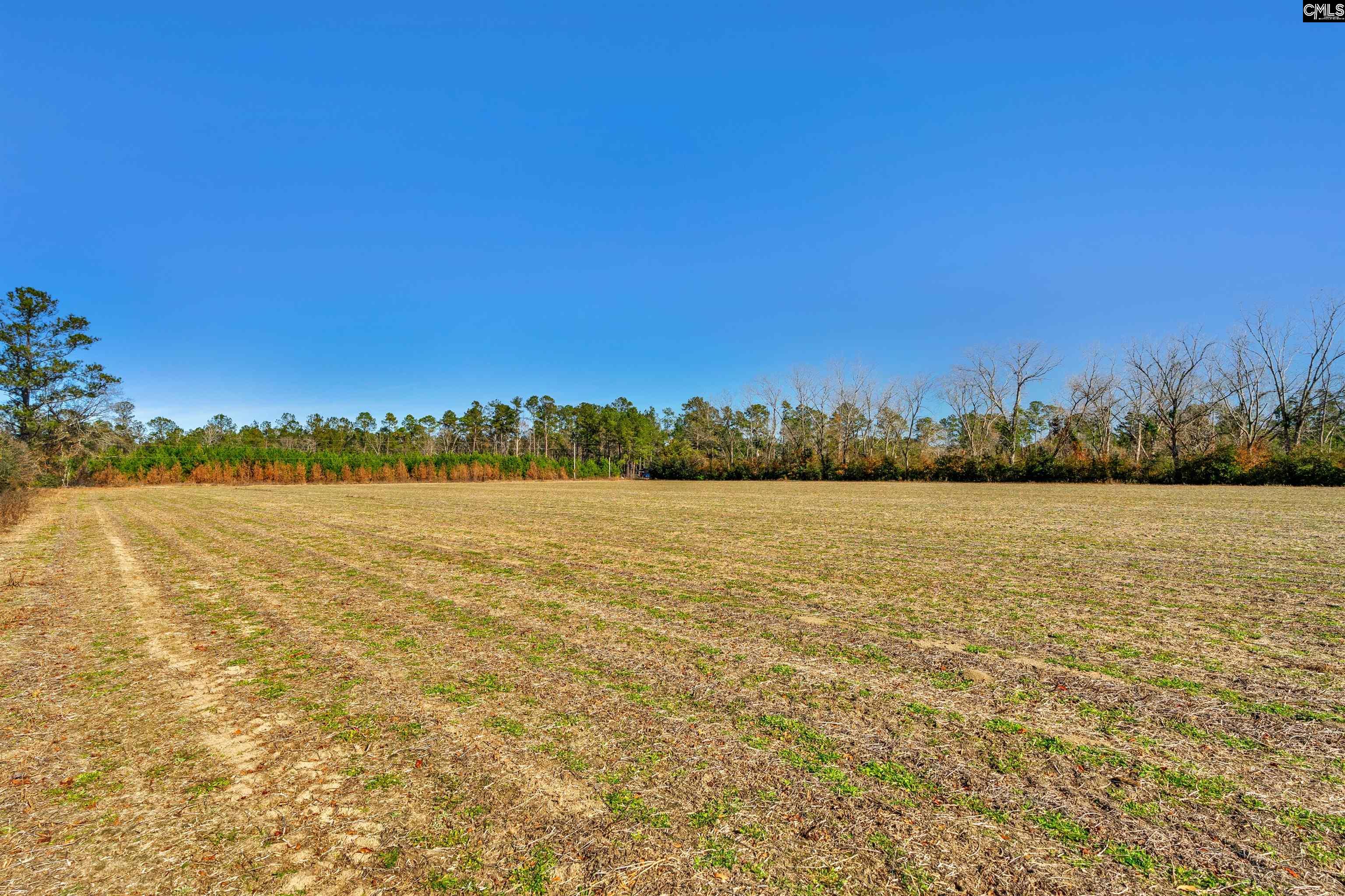 1745 Williams Hill Road Hemingway, SC 29554 - Photo 10 of 25