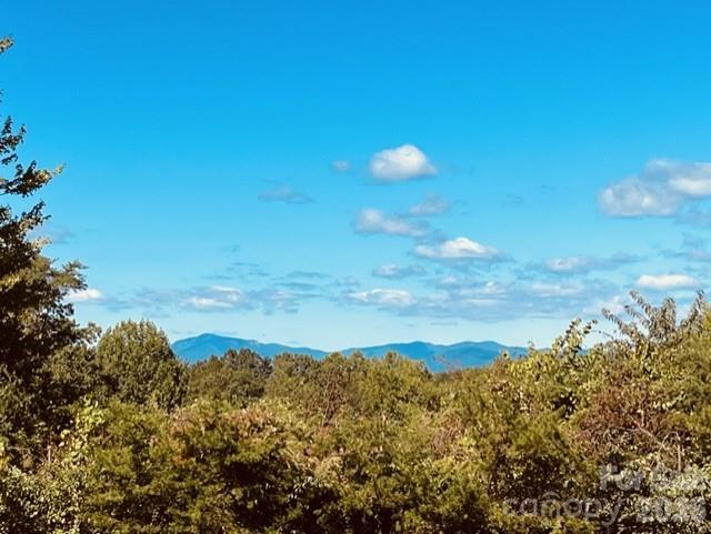 138 Woods End Road Rutherfordton, NC 28139 - Photo 5 of 7