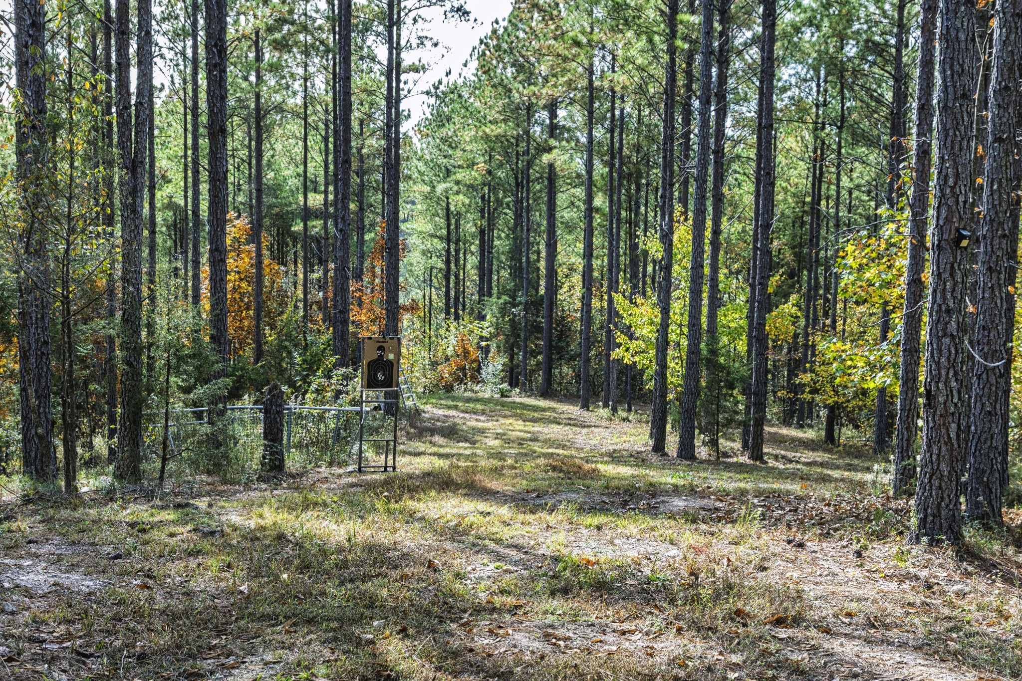 2874 Green Pond Road Decatur, TN 37322 - Photo 21 of 46 a view of outdoor space with trees