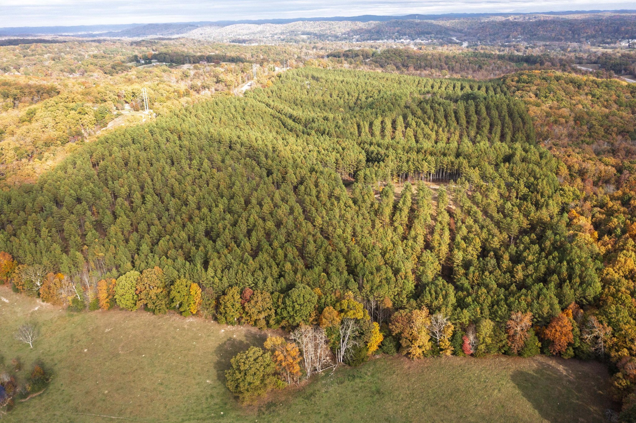 2874 Green Pond Road Decatur, TN 37322 - Photo 35 of 46 a view of a field with an ocean view