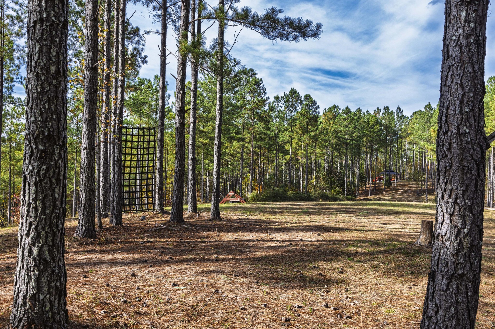 2874 Green Pond Road Decatur, TN 37322 - Photo 4 of 46 a view of outdoor space with trees