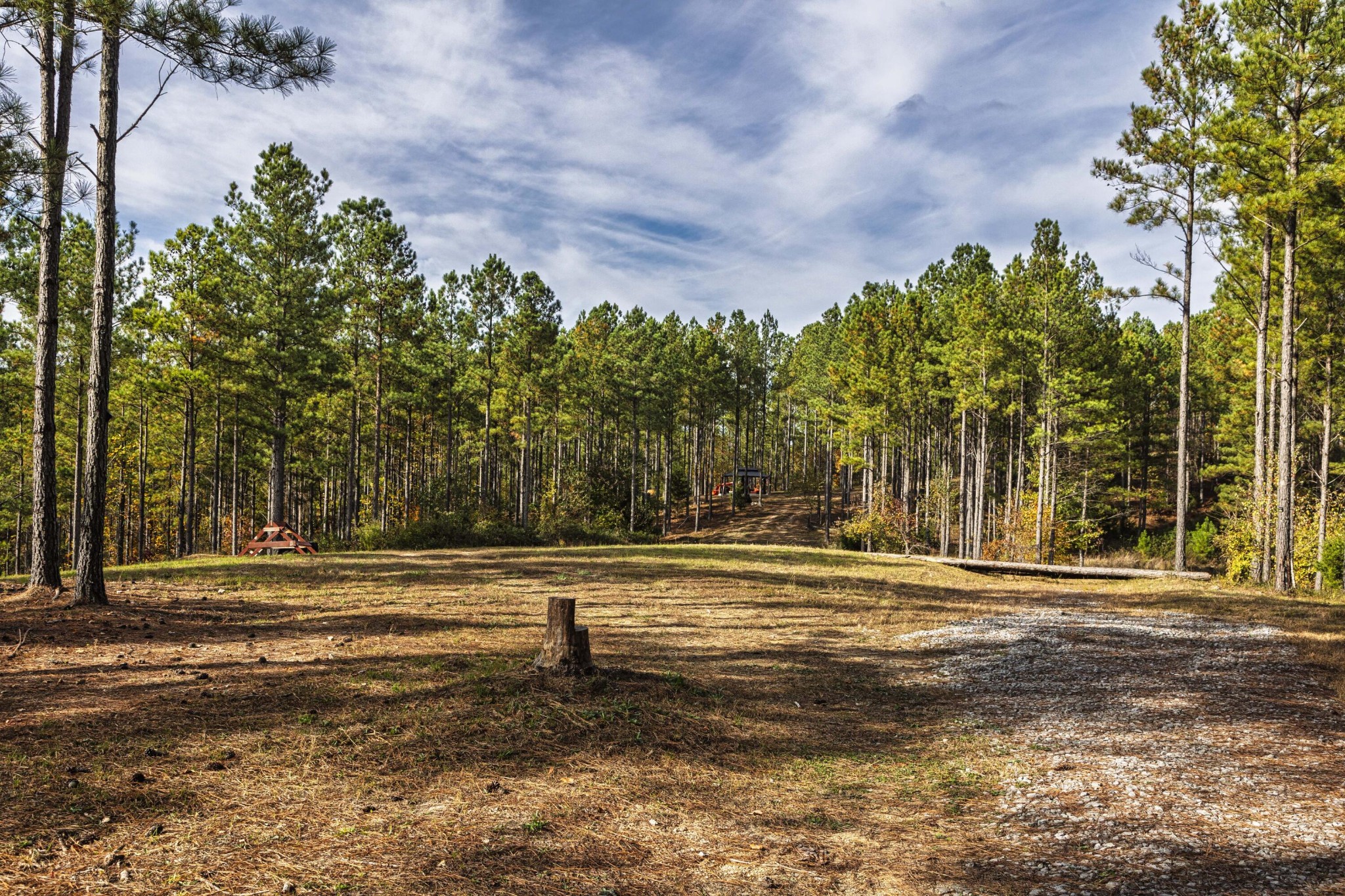 2874 Green Pond Road Decatur, TN 37322 - Photo 5 of 46 a backyard of a house with lots of green space and lake view