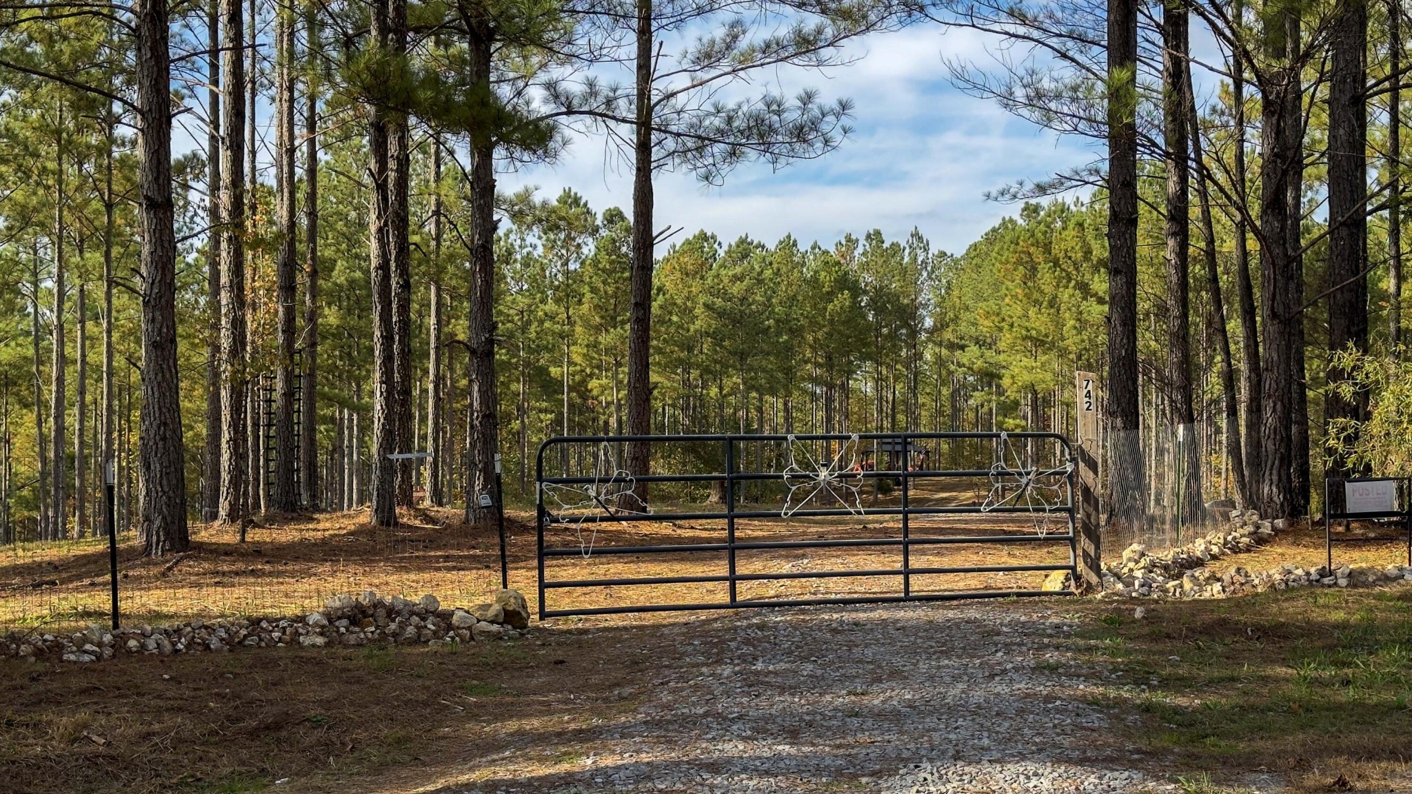 2874 Green Pond Road Decatur, TN 37322 - Photo 10 of 46 a view of backyard with green space