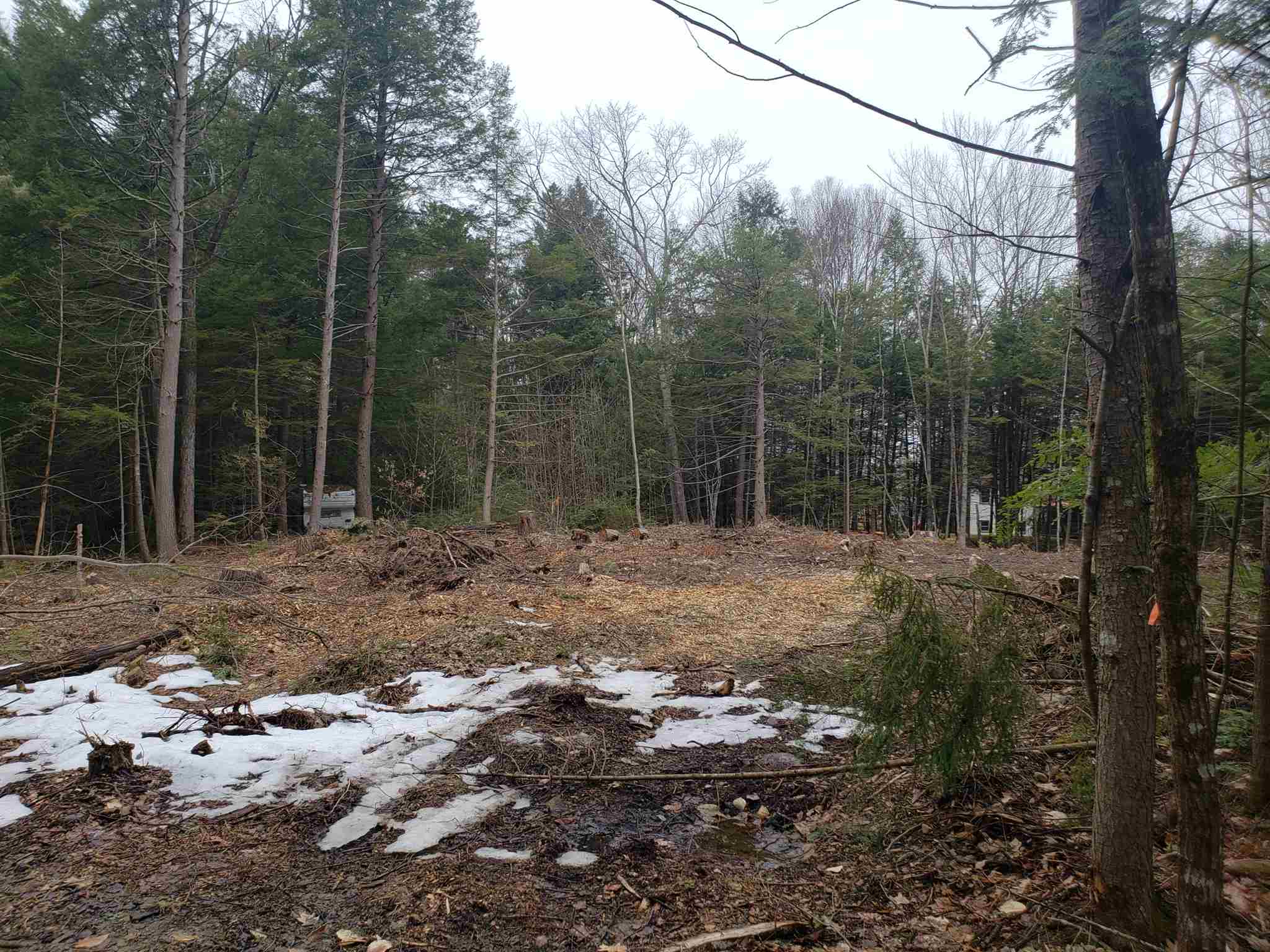 Lot 328 Bristol Road Center Barnstead, NH 03225 - Photo 2 of 3
