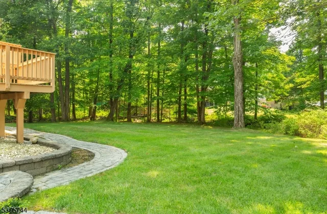 a view of a park with large trees
