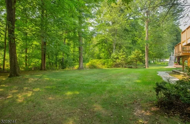 a view of yard with trees