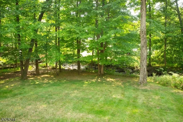 a view of a trees in a yard