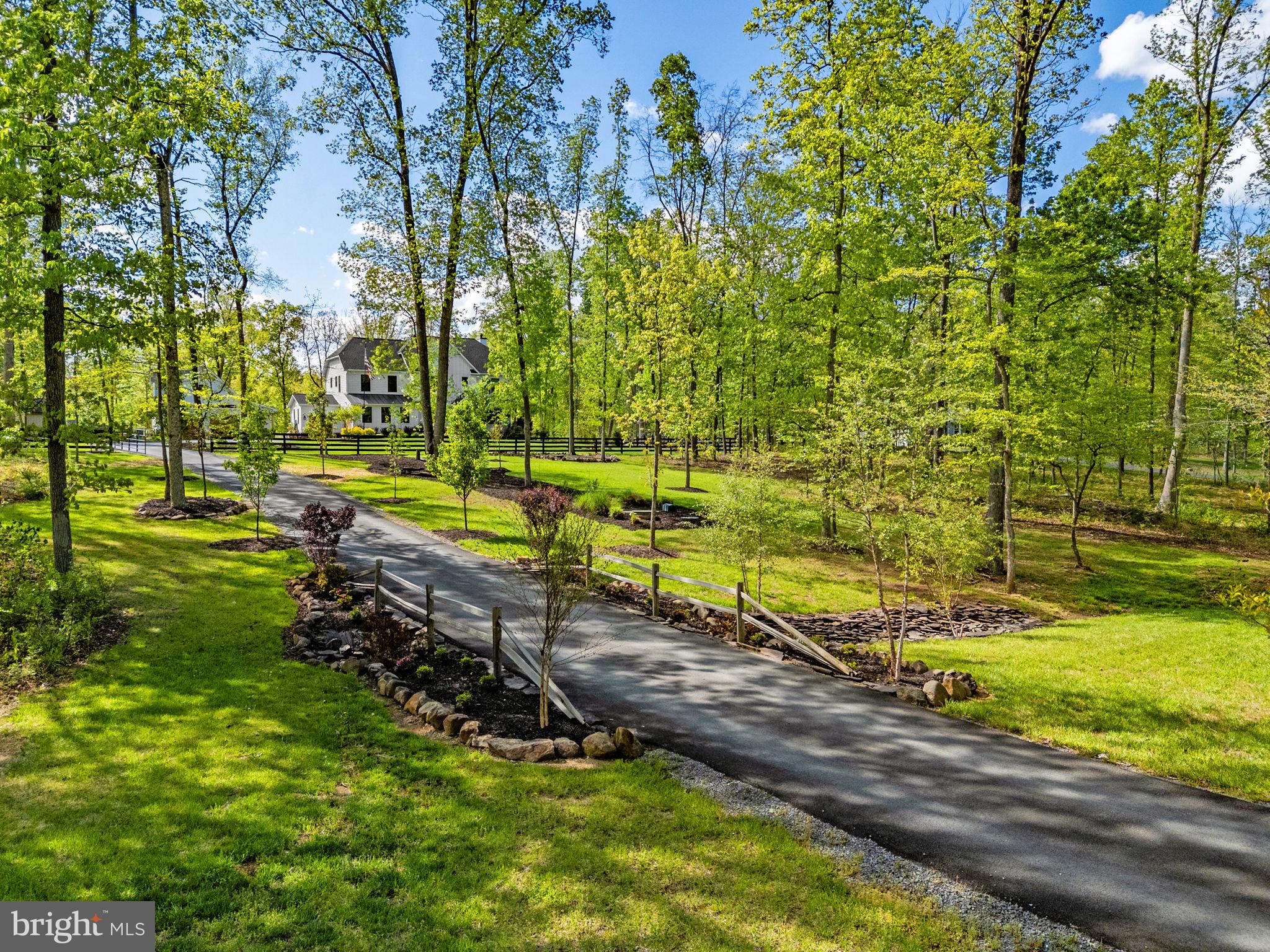 8794 Buckland Mill Road Gainesville, VA 20155 - Photo 2 of 67 Serene driveway through lush greenery.