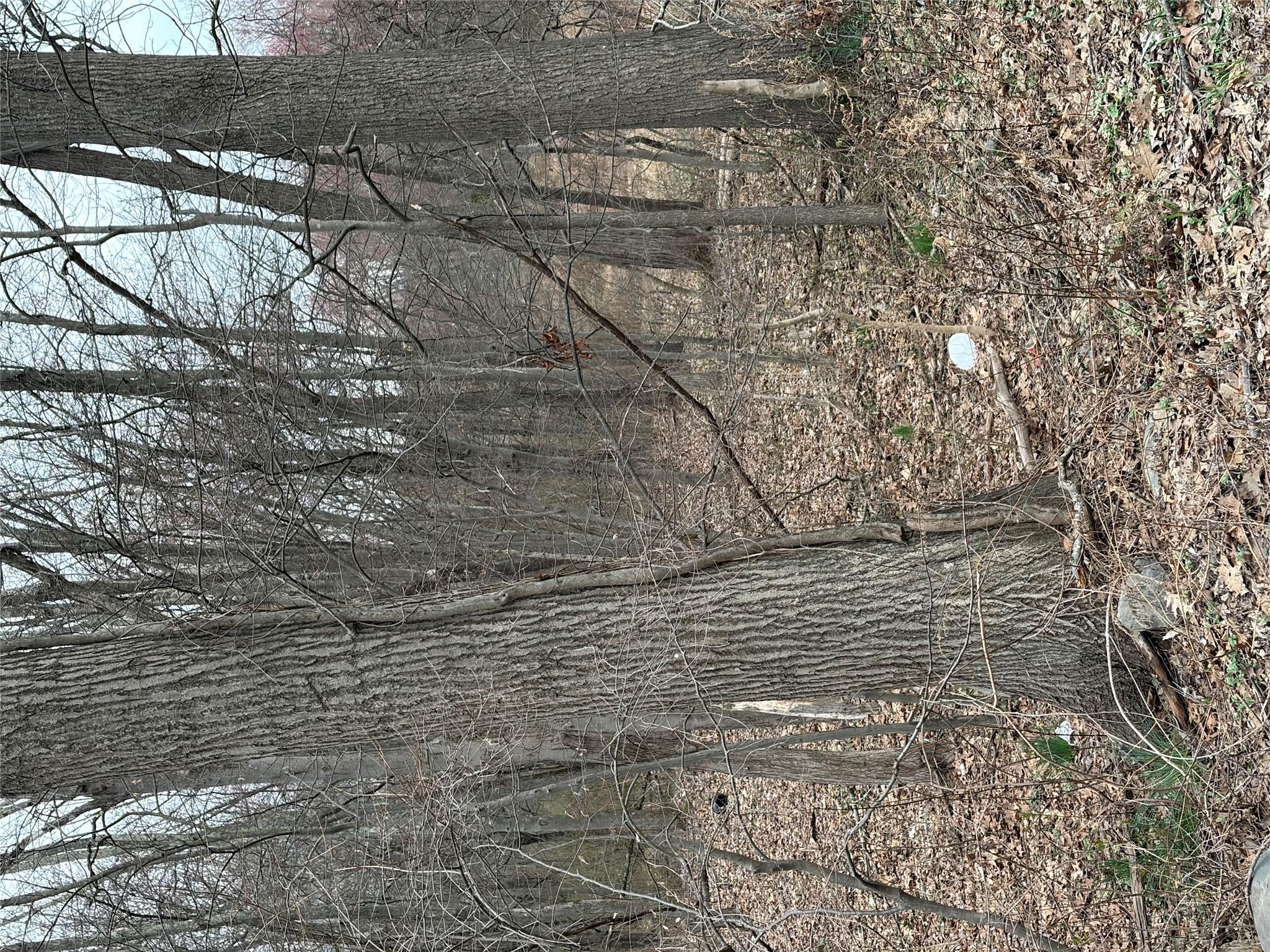 Wells Road Newburgh, NY 12550 - Photo 24 of 37
