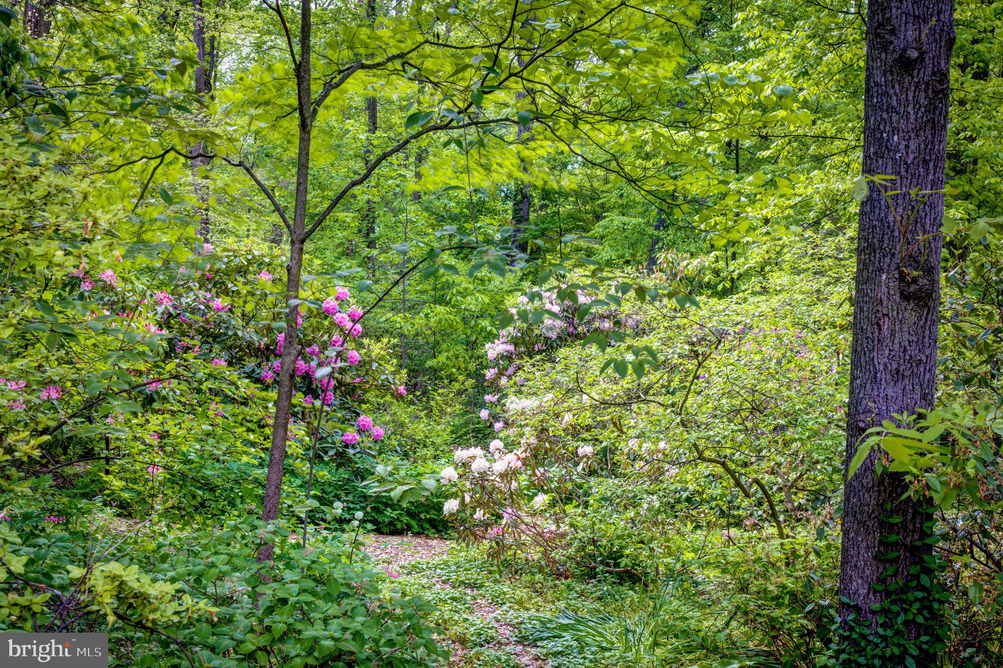 645 Harwick Road Wayne, PA 19087 - Photo 50 of 55