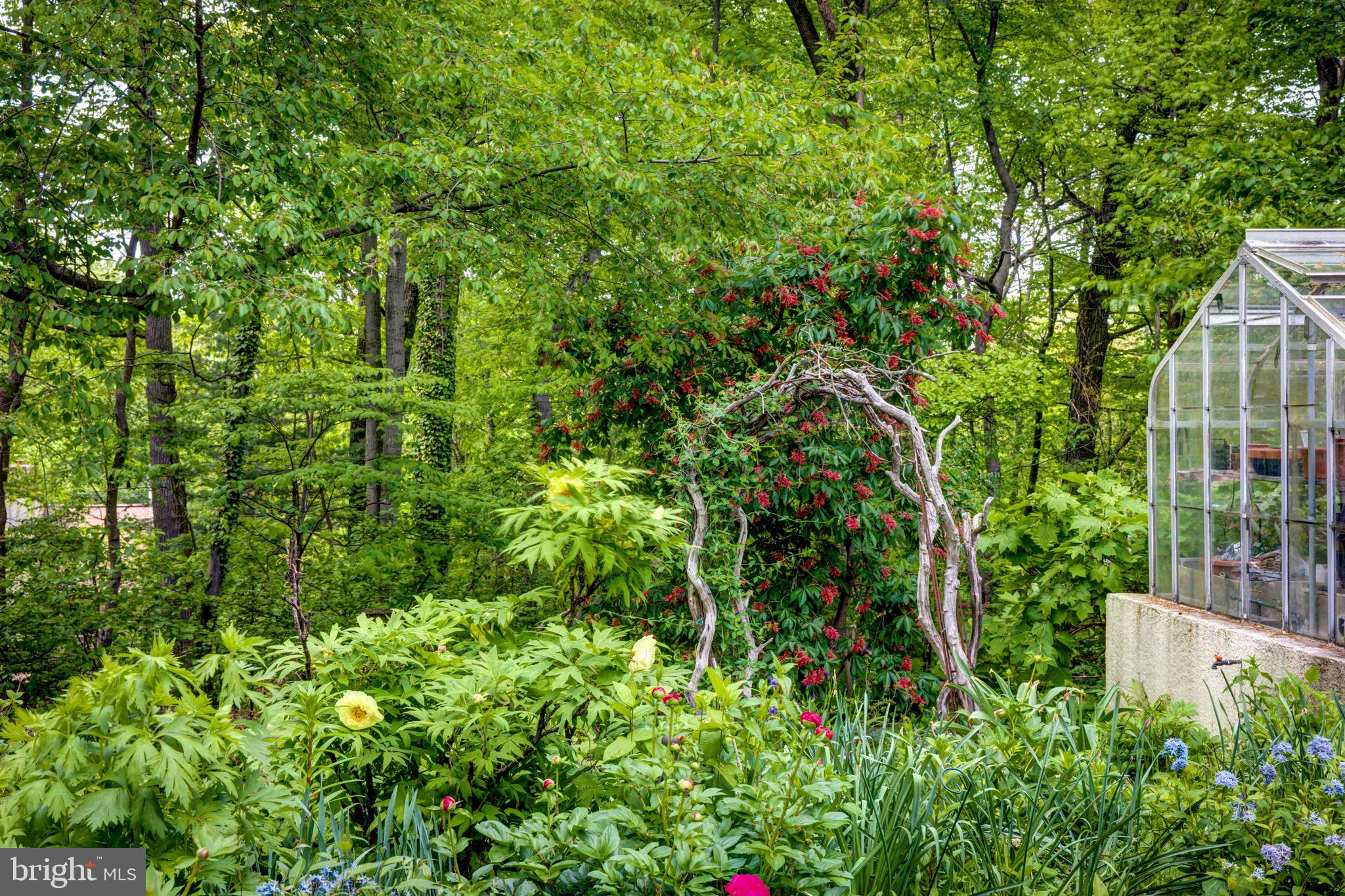 645 Harwick Road Wayne, PA 19087 - Photo 51 of 55