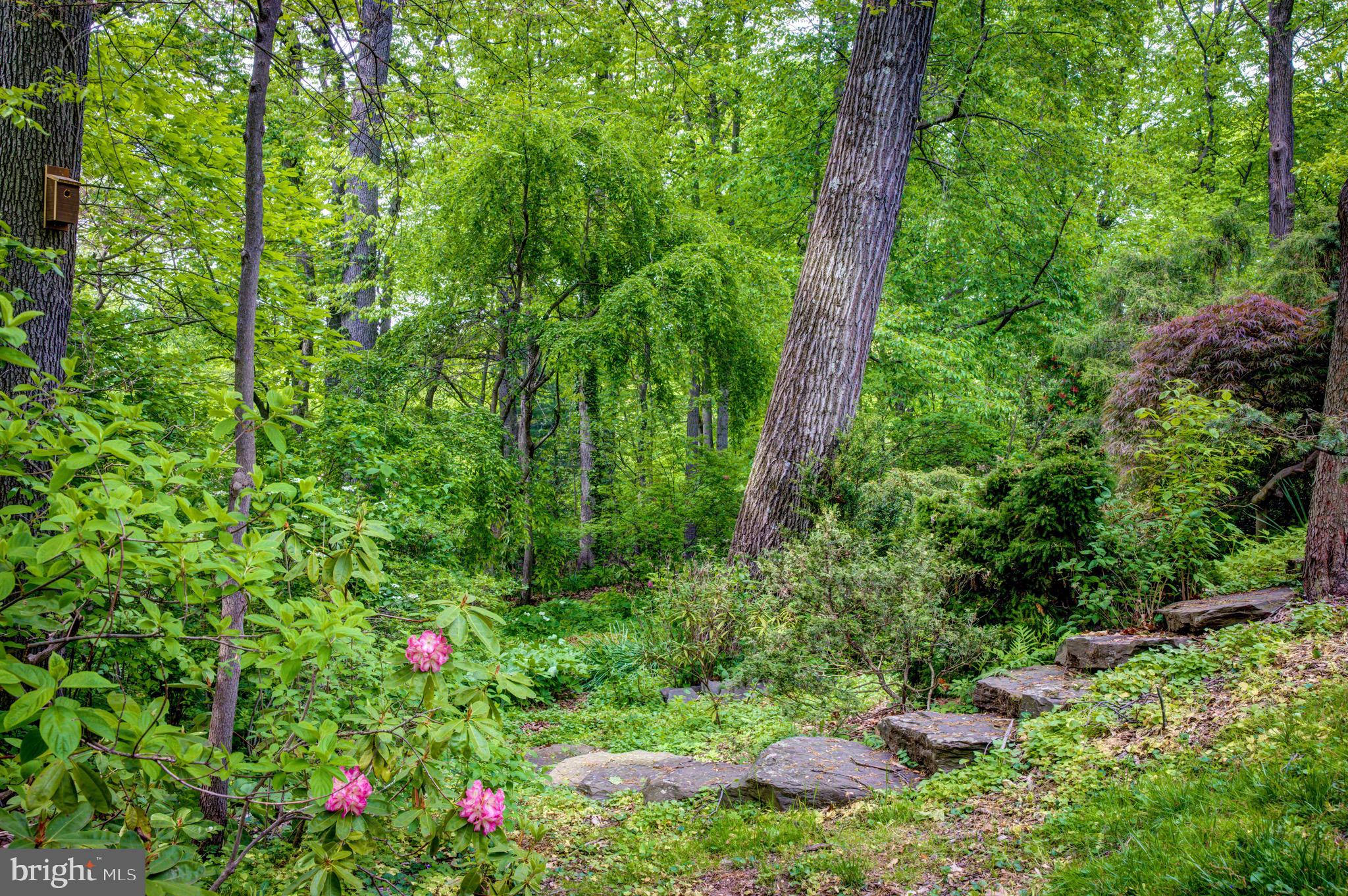 645 Harwick Road Wayne, PA 19087 - Photo 52 of 55