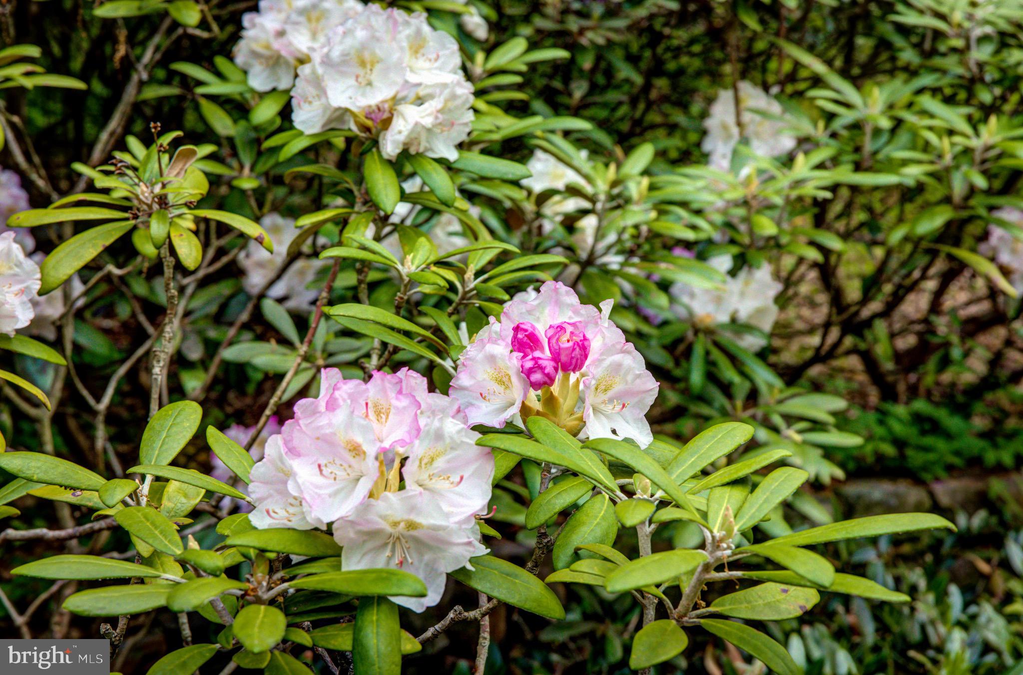 645 Harwick Road Wayne, PA 19087 - Photo 55 of 55