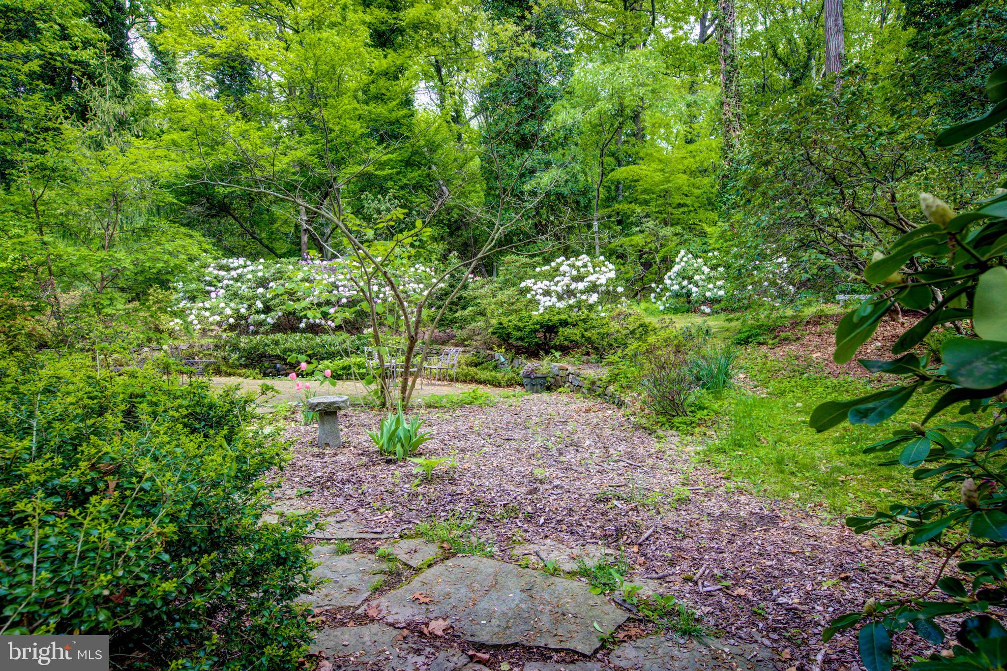 645 Harwick Road Wayne, PA 19087 - Photo 6 of 55