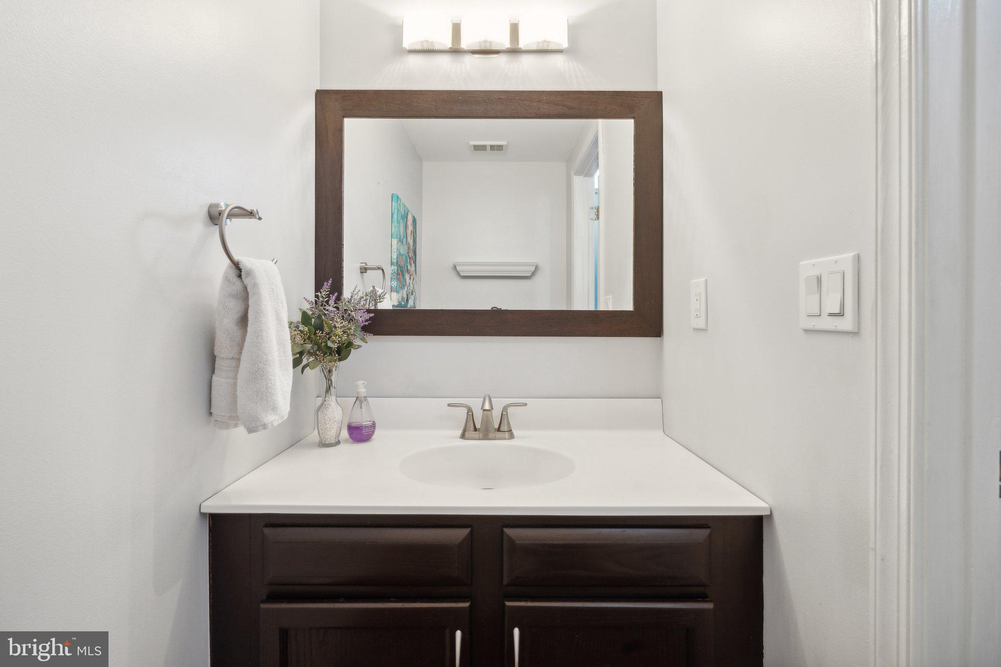 410 McDaniel Drive Purcellville, VA 20132 - Photo 30 of 36 a bathroom with a sink and a mirror
