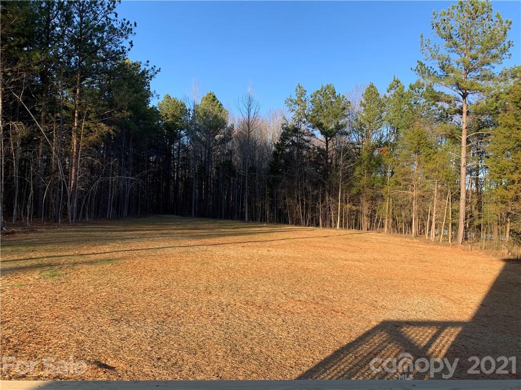 1755 Cranwell Drive Mount Ulla, NC 28125 - Photo 4 of 18