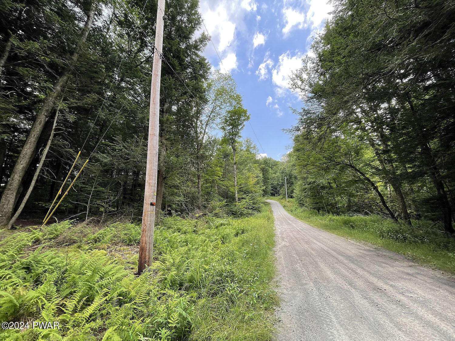 0 Rotten Road Equinunk, PA 18417 - Photo 3 of 20