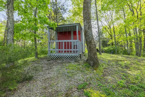 a view of a forest with trees in front of the house