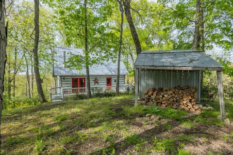a view of a bunch of trees and bushes