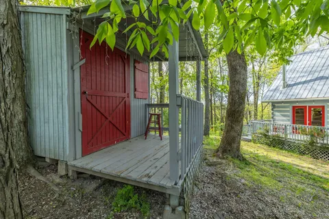 a view of a yard with large trees