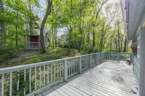 a view of a garden with a tree