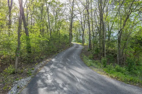 an aerial view of forest