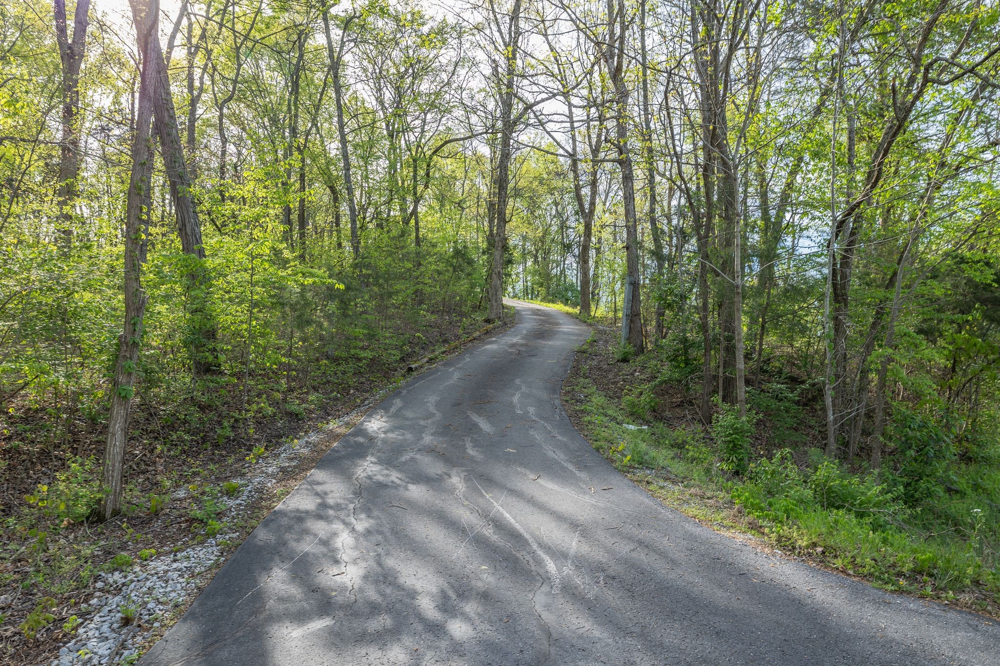 1707 Sugar Ridge Road Spring Hill, TN 37174 - Photo 30 of 38 a view of a forest with trees in front of the house