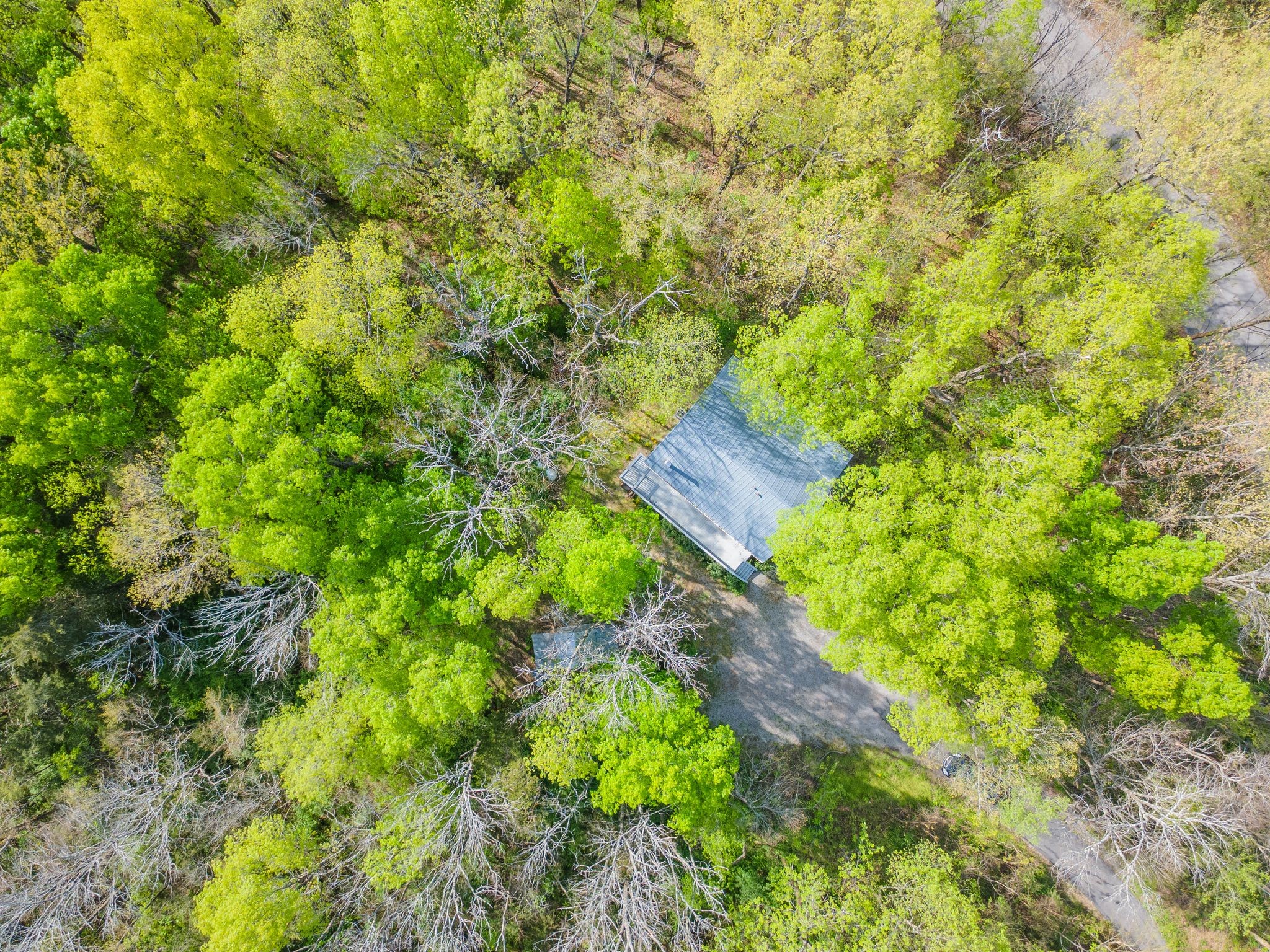 1707 Sugar Ridge Road Spring Hill, TN 37174 - Photo 32 of 38 a view of a garden