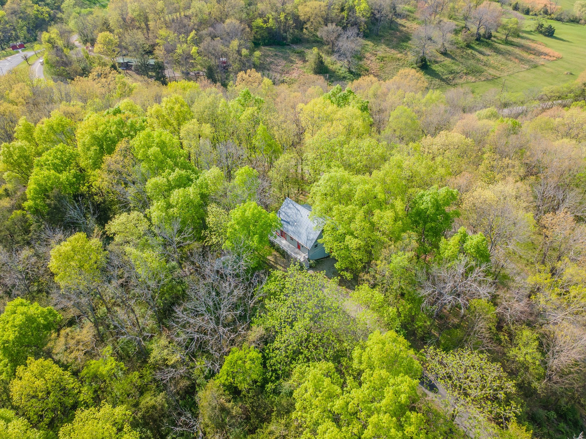 1707 Sugar Ridge Road Spring Hill, TN 37174 - Photo 33 of 38 a view of a bunch of trees and bushes