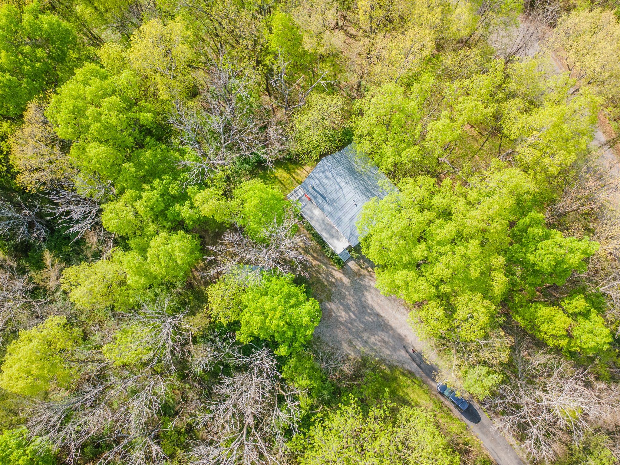 1707 Sugar Ridge Road Spring Hill, TN 37174 - Photo 34 of 38 a view of a yard with plants
